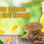 MINYAK GORENG DARI ULAT JERMAN