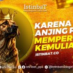 Karena Ilmu, Anjing Pun Memperoleh Kemuliaan Karena Ilmu, Anjing Pun Memperoleh Kemuliaan