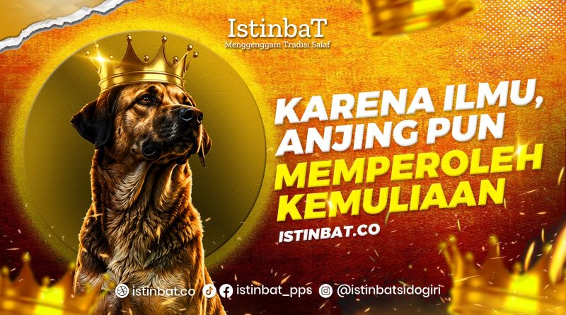 Karena Ilmu, Anjing Pun Memperoleh Kemuliaan Karena Ilmu, Anjing Pun Memperoleh Kemuliaan